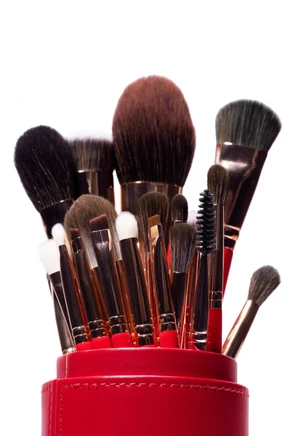 ÉCLAT Professional Brush Set